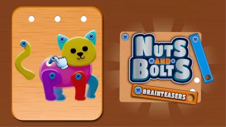 Play poki games - Nuts and Bolts Brainteasers